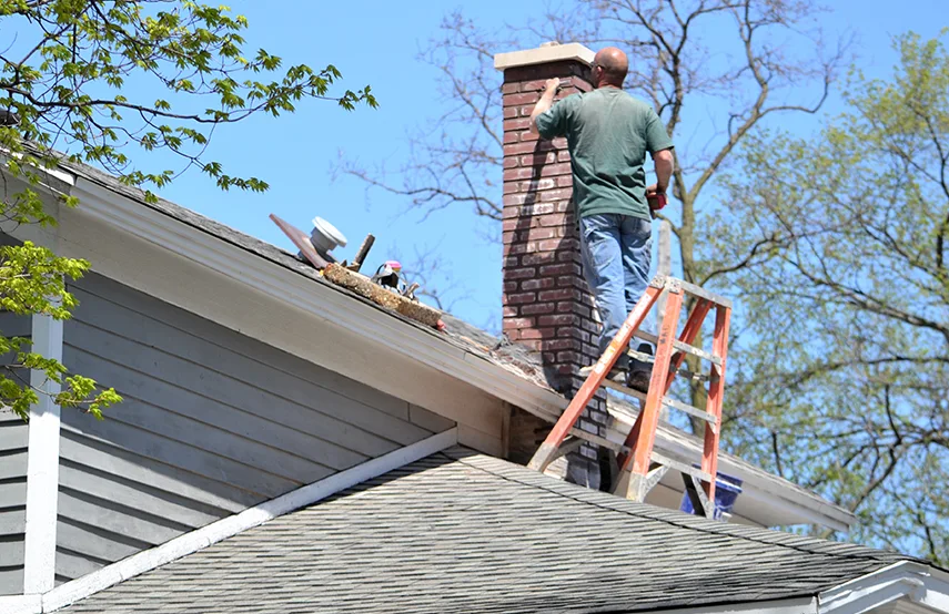 Chimney & Fireplace Inspections Services in Greer, SC